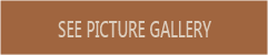 Picture Gallery