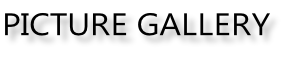 PICTURE GALLERY